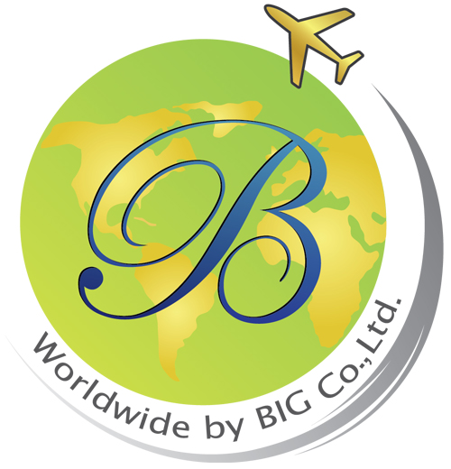 Partner Logo